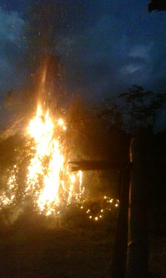 2016-03-17 burning bamboo 8 Mar  R